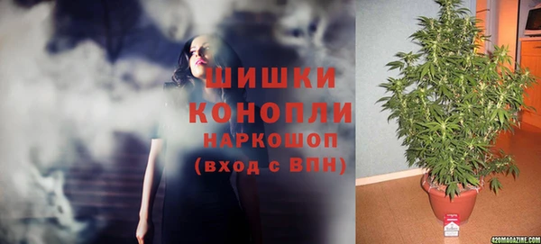 прущие крисы Армянск