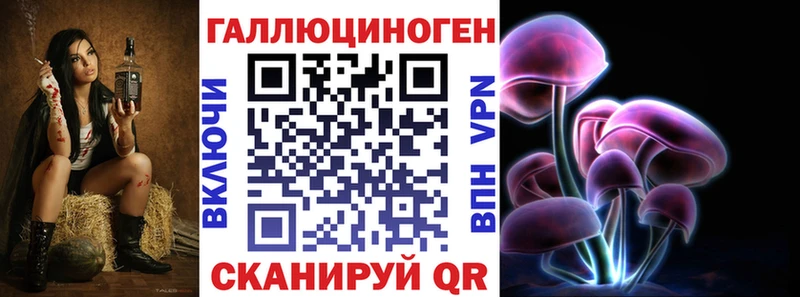 Псилоцибиновые грибы Psilocybe  Талдом 